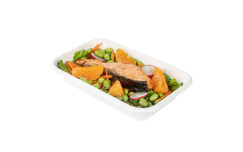 24 oz Rectangle White Sugarcane Container