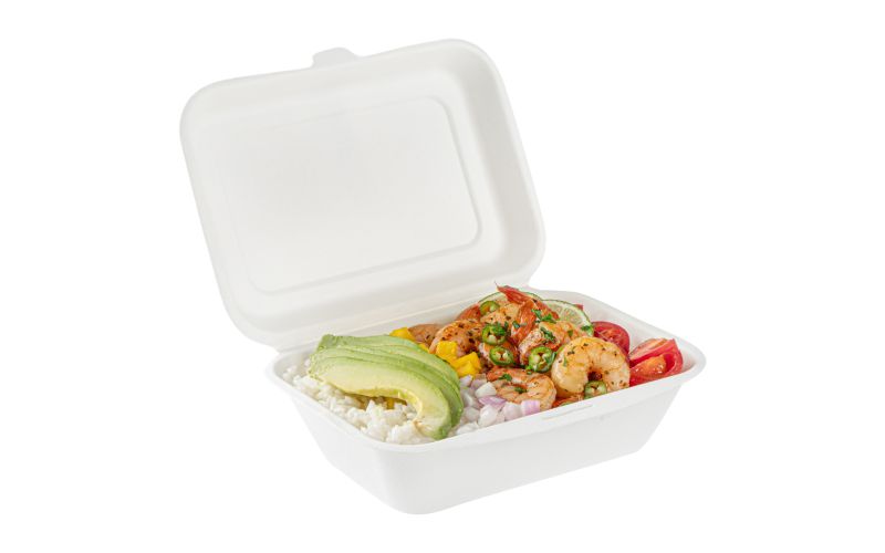 20 oz White Sugarcane Clamshell Container
