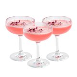 7 oz Polycarbonate Champagne Glass