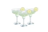15 oz Polycarbonate Margarita Glass