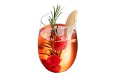 16 oz Clear Plastic Stemless Wine Glass