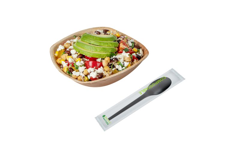Black CPLA Plastic Spoon