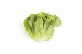 Organic Green Leaf Lettuce