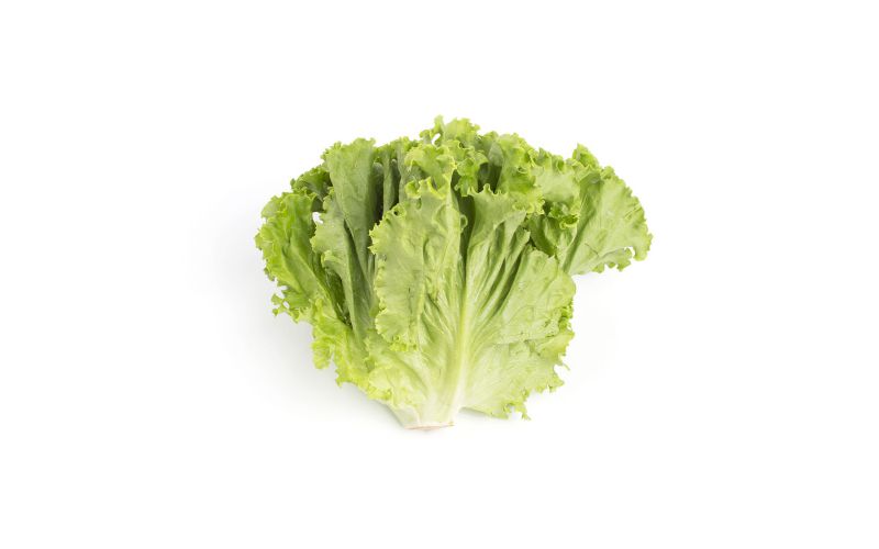 Organic Green Leaf Lettuce