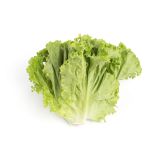 Organic Green Leaf Lettuce