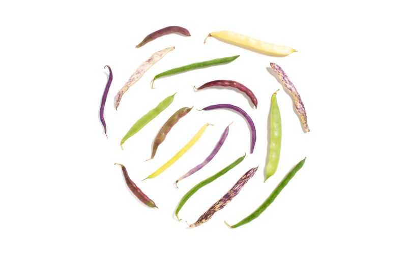 Bean Medley