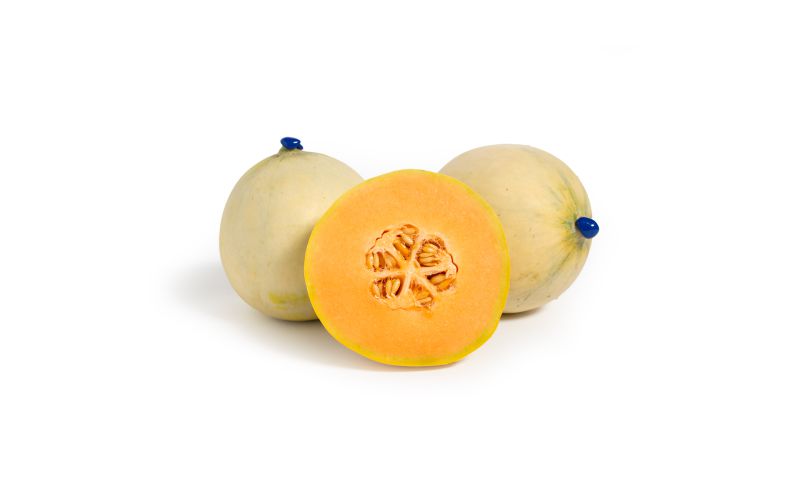 Italian Honey Moon Melons