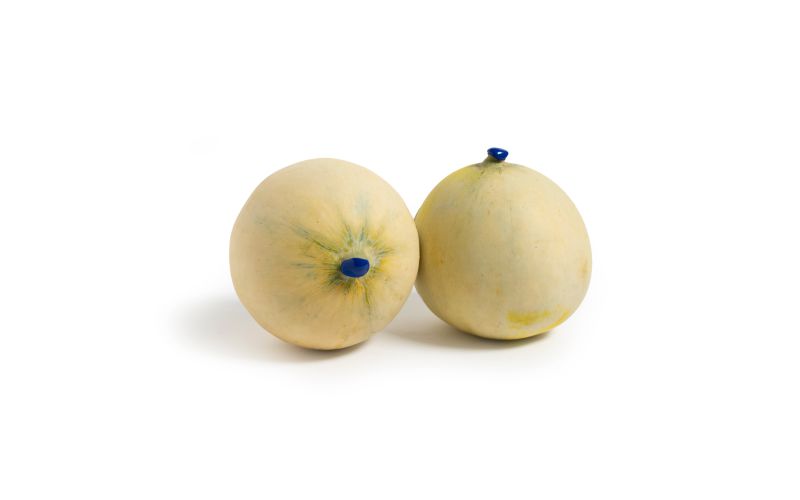 Italian Honey Moon Melons