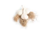 Local Long Island Whole Garlic