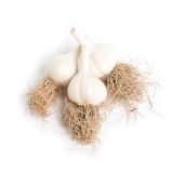 Local Long Island Whole Garlic