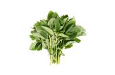 Organic Bunched Callaloo