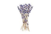 Dried French Lavender