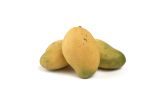 Madam Francis Mangoes
