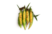Row 7 Organic Sweet Corn