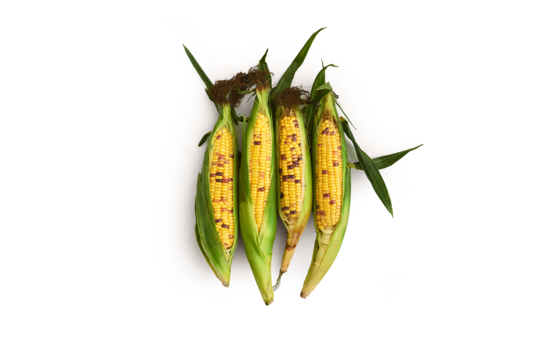 Row 7 Organic Sweet Corn