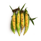 Row 7 Organic Sweet Corn