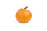 Small Pumpkin