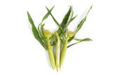 Organic Baby Corn