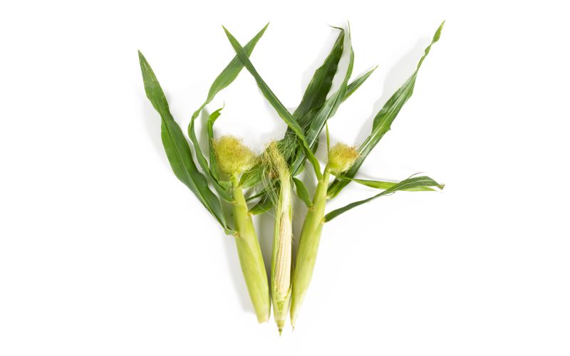 Organic Baby Corn