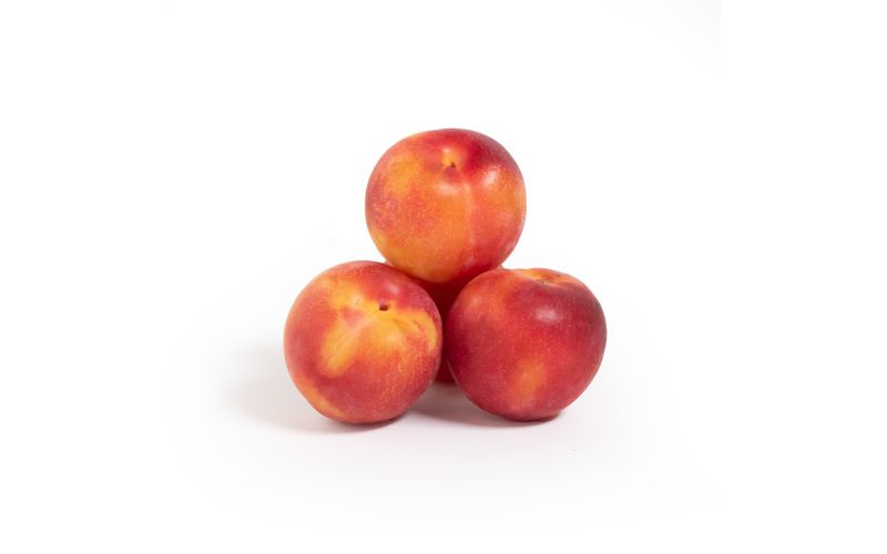 Magenta Velvet Apricots