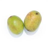 Pawpaws