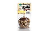 Caramel Apple With Chocolate and Peanuts