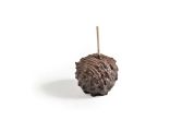 Gourmet Cookie Chocolate Overload Apple