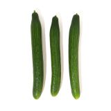 Hot House Cucumbers