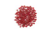 Wild Autumn Olive Berries
