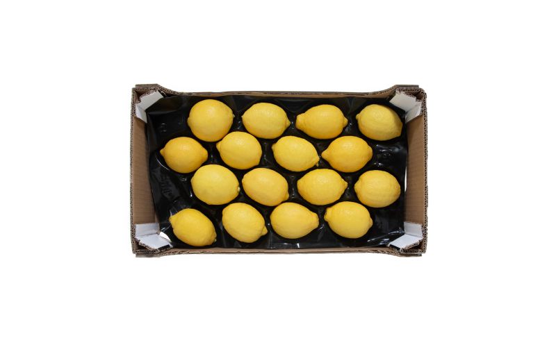 Italian Sorrento Lemons