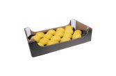 Italian Sorrento Lemons