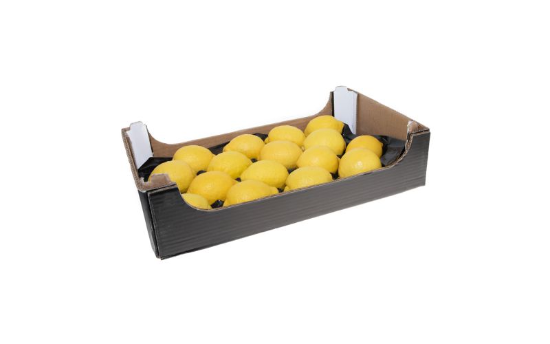 Italian Sorrento Lemons