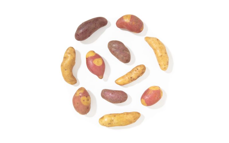 Organic Fingerling Potato Medley