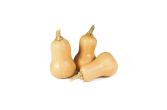 Organic Honeypatch Squash