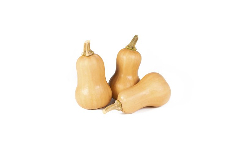 Organic Honeypatch Squash