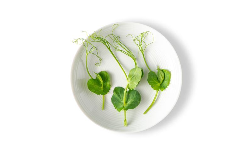 Petite Pea Tendrils