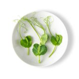 Petite Pea Tendrils