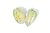 Organic Golden Verona Radicchio
