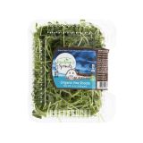 Organic Pea Shoots