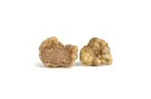 Fresh White Truffles Small Size