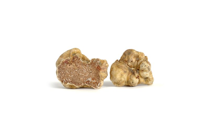 Fresh White Truffles Small Size