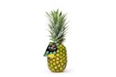 Zero Carbon Neutral Pineapples