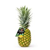 Zero Carbon Neutral Pineapples