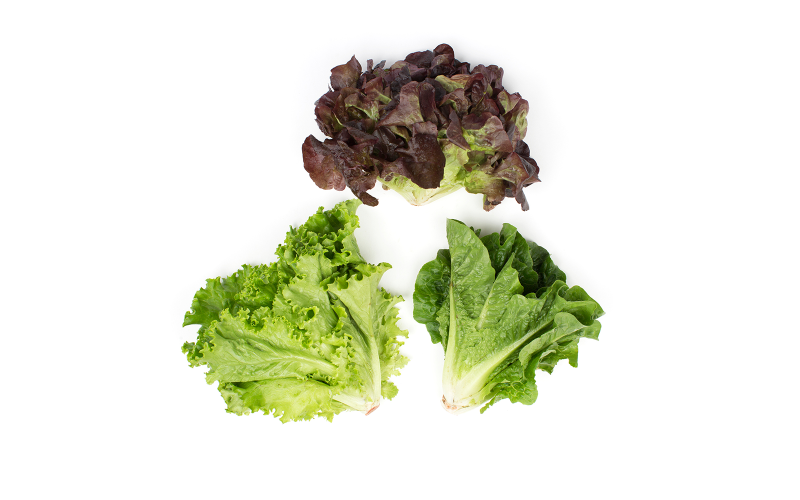 Organic Baby Mixed Lettuce Heads