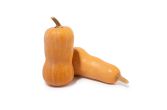 Organic Sweet Bea Squash