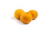 Autumn Honey Tangerines