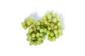 Limited Edition Premium Seedless Green Grapes