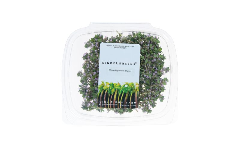 Lemon Thyme Blossoms