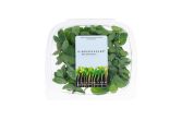 Grapefruit Mint