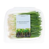 KinderGreens® Menegi Scallions
